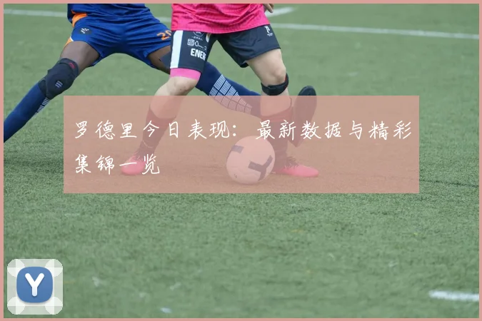 罗德里今日表现：最新数据与精彩集锦一览