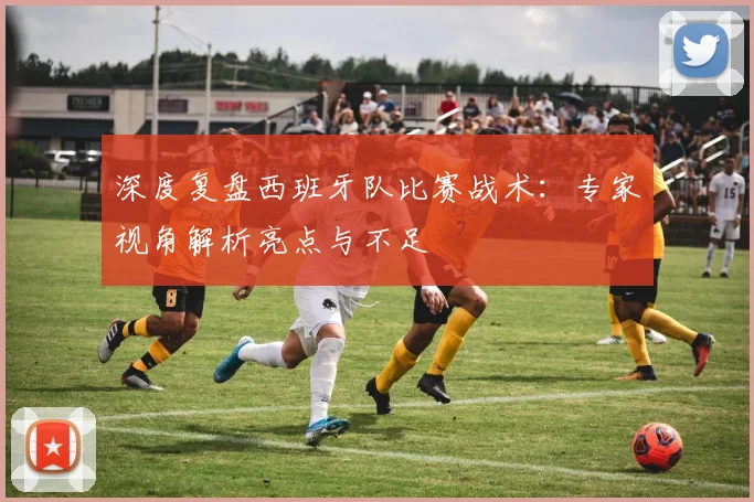 深度复盘西班牙队比赛战术：专家视角解析亮点与不足