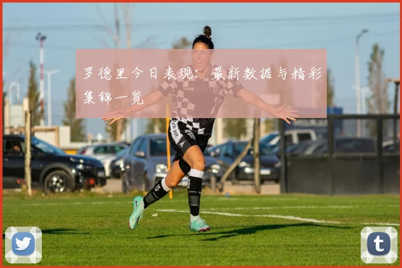 罗德里今日表现：最新数据与精彩集锦一览