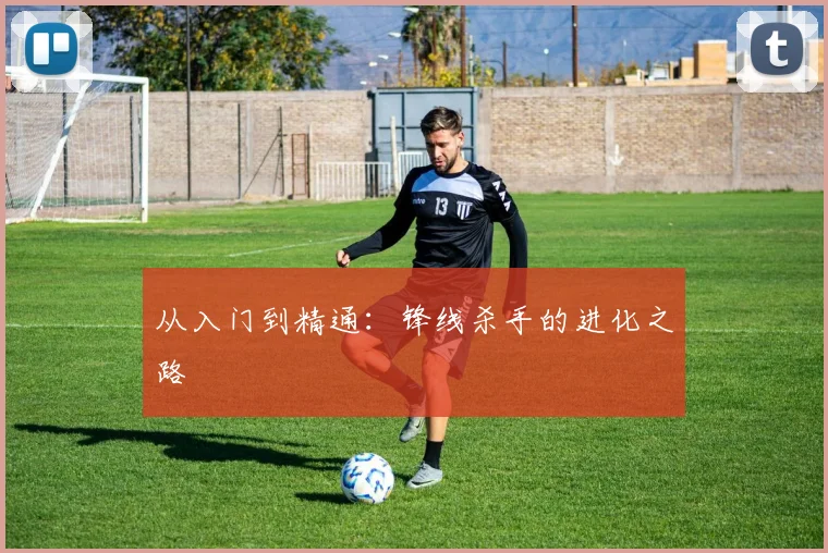从入门到精通：锋线杀手的进化之路