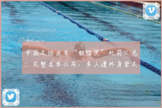 中国足协历年“假赌黑”处罚汇总：完整名单公布，多人遭终身禁足